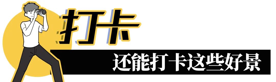 凤凰山绿道开放时间,凤凰山绿道全长多少公里