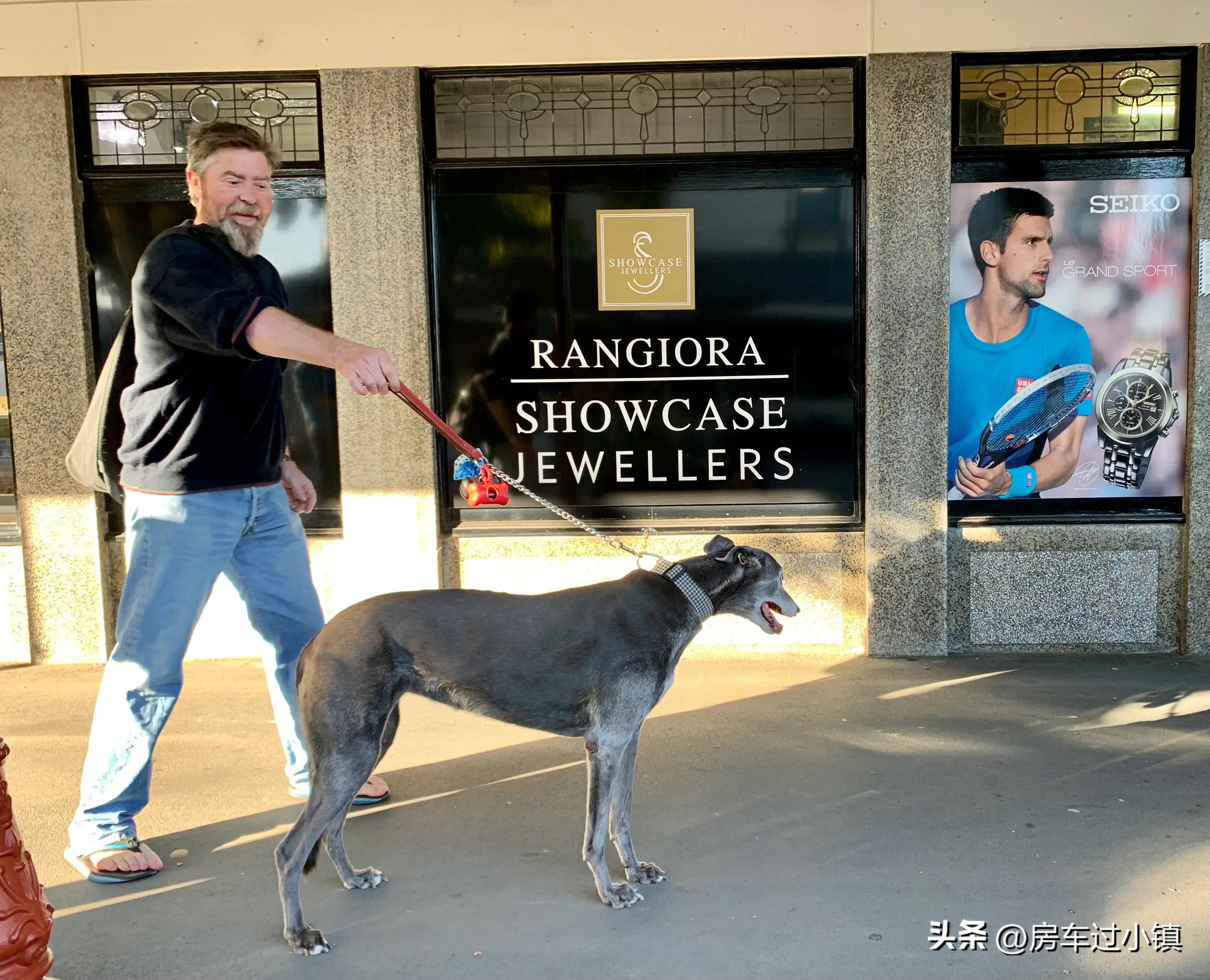 阿拉蕾的小镇、五元松果及其它——新手新车新西兰之十