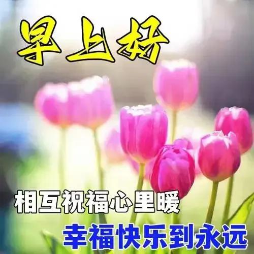 每日早安祝福金句文案短句,早安问候语正能量简短朋友圈文案