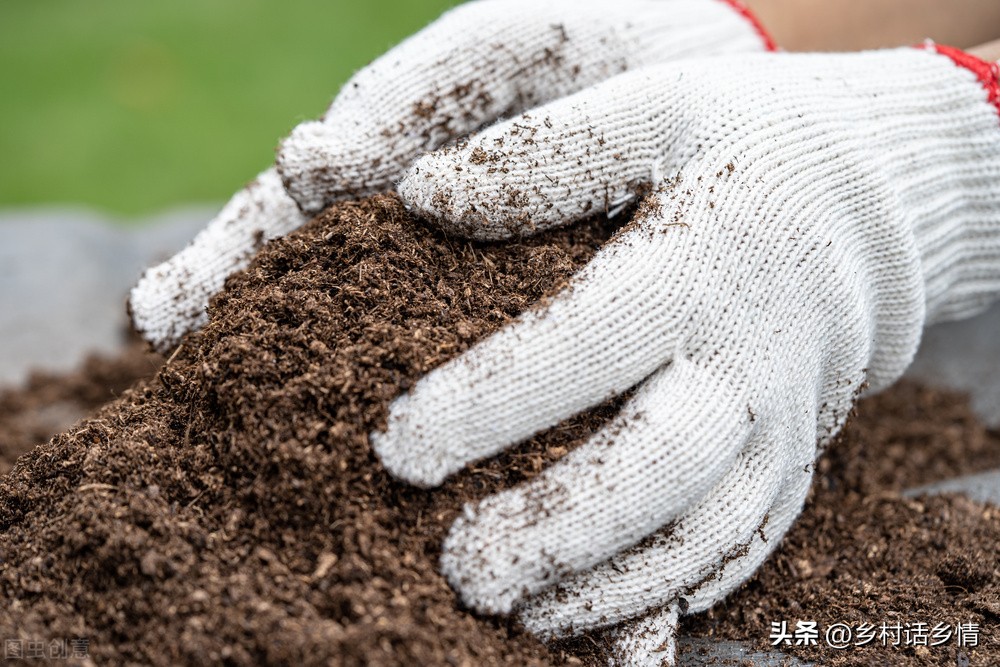 如果土壤没有蚯蚓有什么后果,土壤中蚯蚓越多越好是对吗