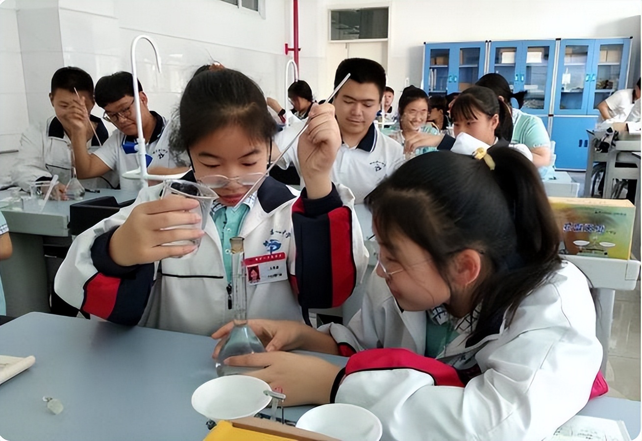 “惊讶”，上海5岁男生简历“15”页，网友：比我一生都精彩