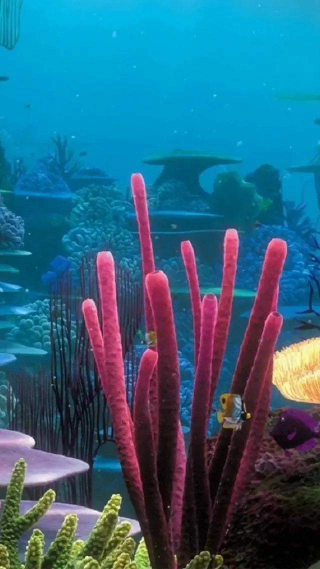 蓝色海景壁纸图片大全,海景壁纸4k超清全面屏