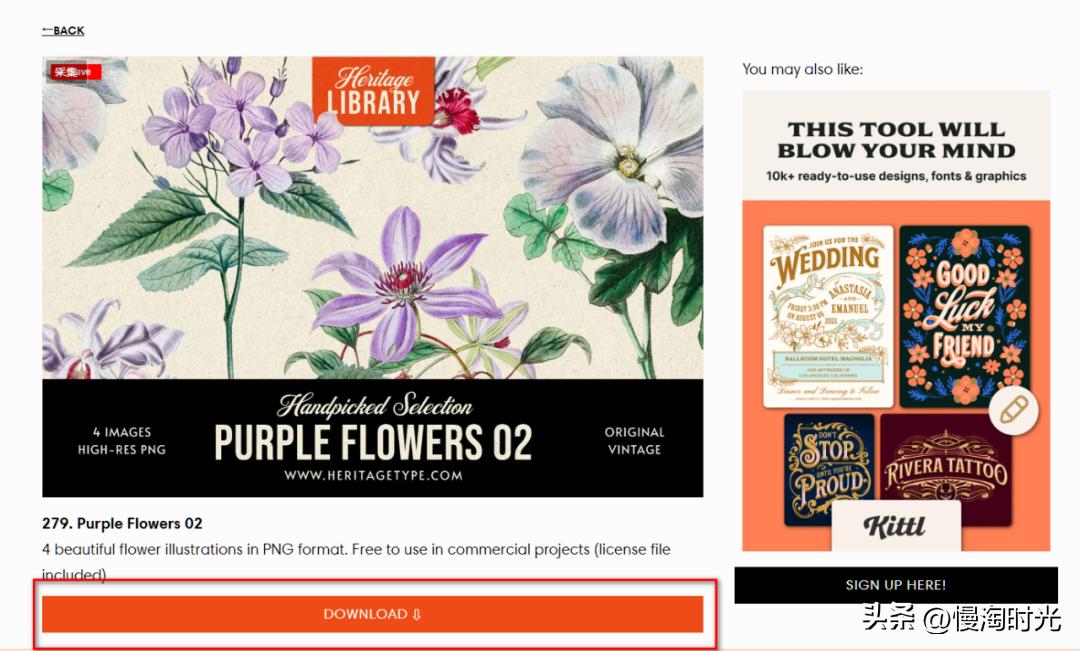 png免抠图透明素材栅栏,竹子png免抠透明素材