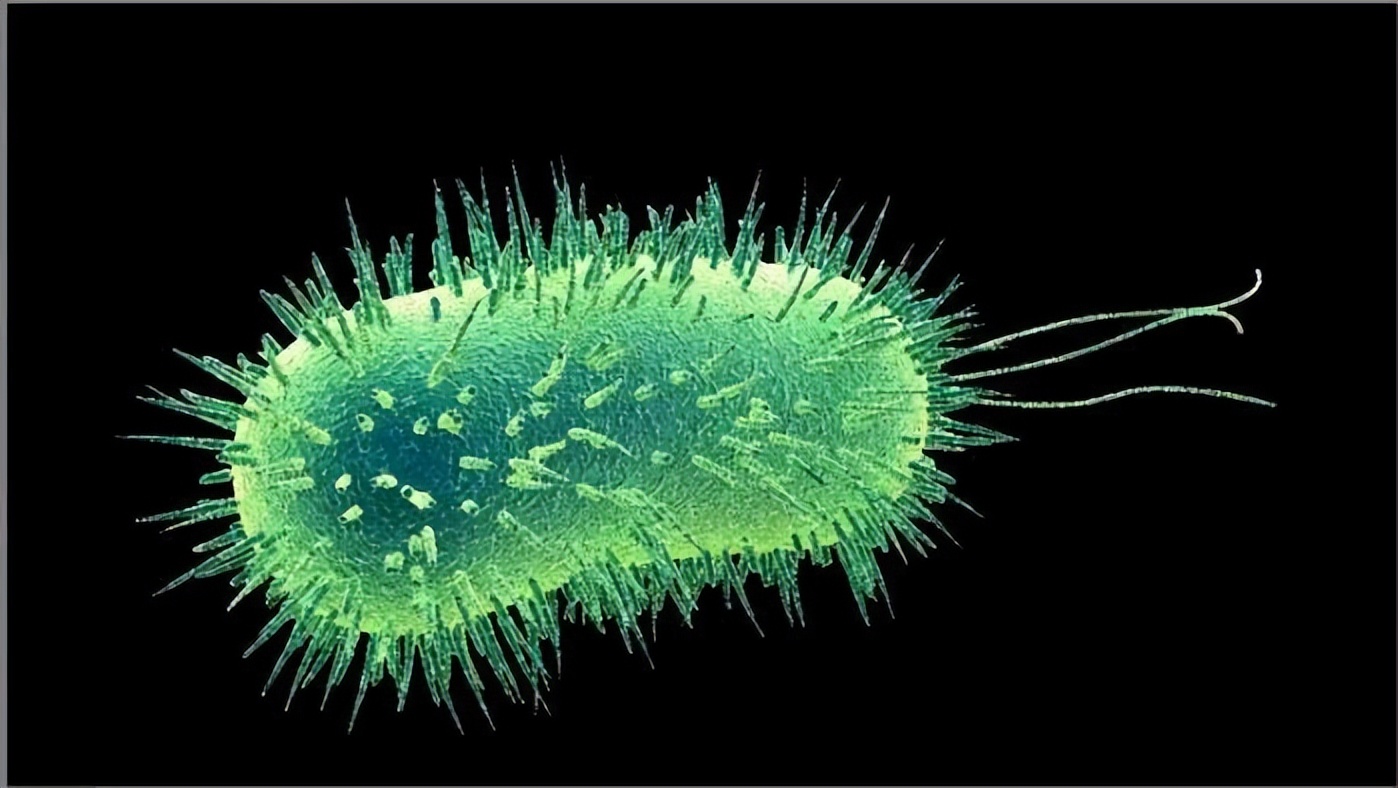 经常洗屁股的好处和坏处,每天洗屁股有必要吗