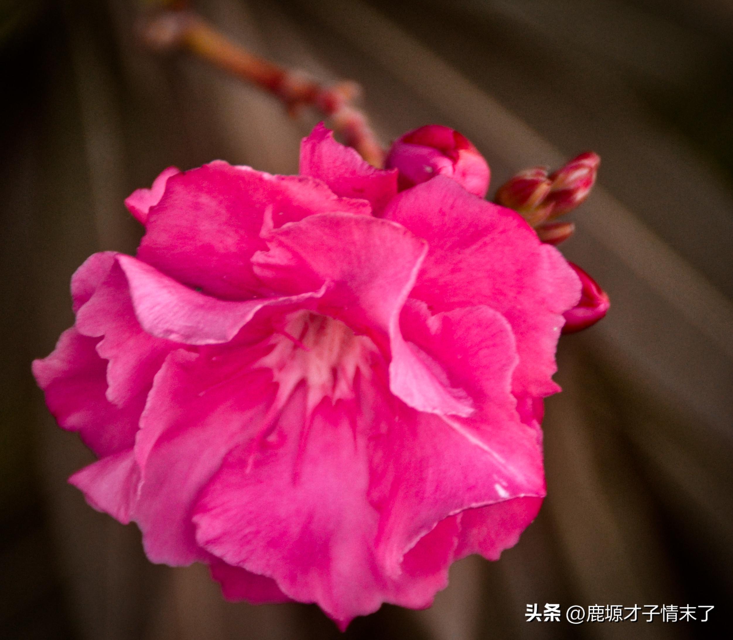 选择性记忆初中数学,选择性记忆全文