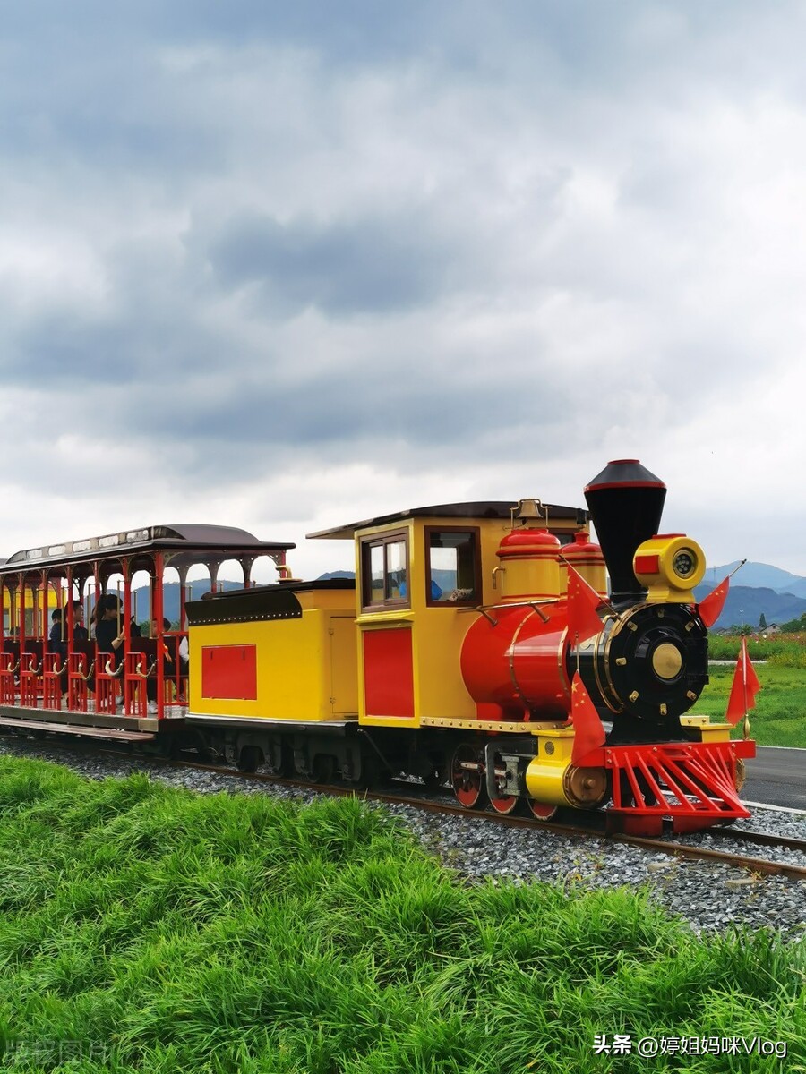 杭州径山花海景区,2月份杭州小众旅游攻略