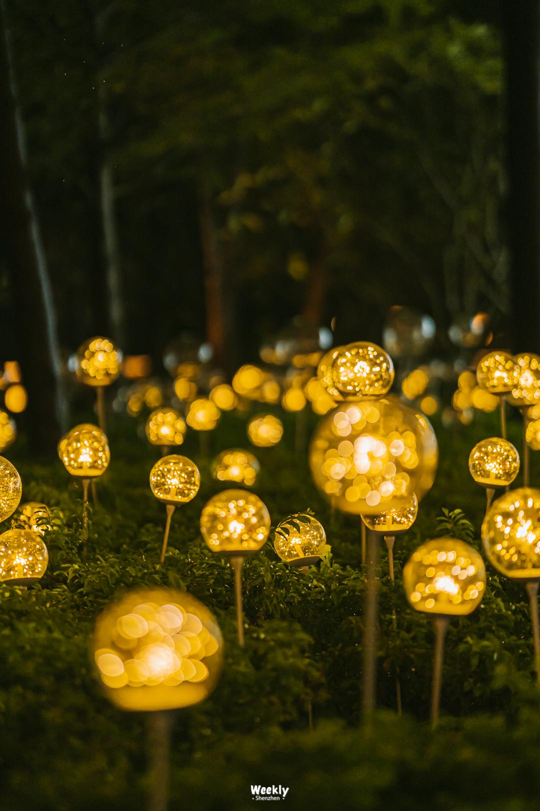 深圳欢乐谷游乐园,深圳十大必去游乐园