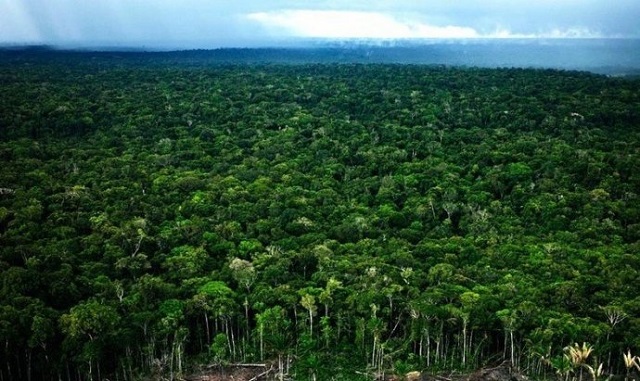 台湾的鸡为什么不下蛋了?真正原因令人寒心!