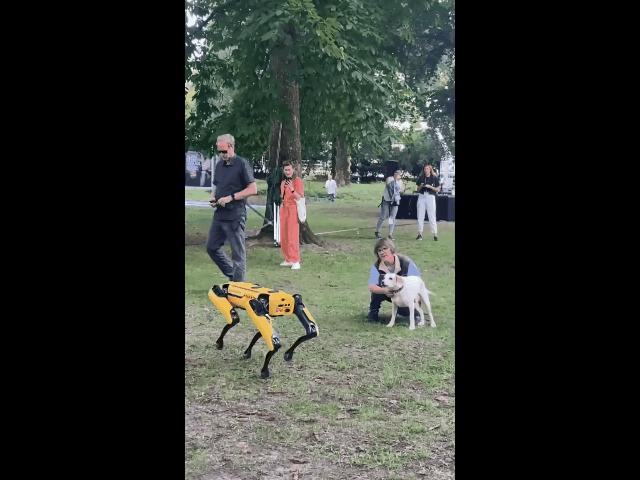 遛机械狗兼职,遛机械狗