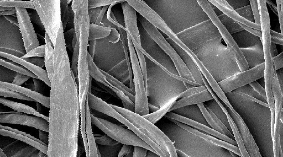 日本回收烟头真实揭秘,日本为什么大量回收烟头