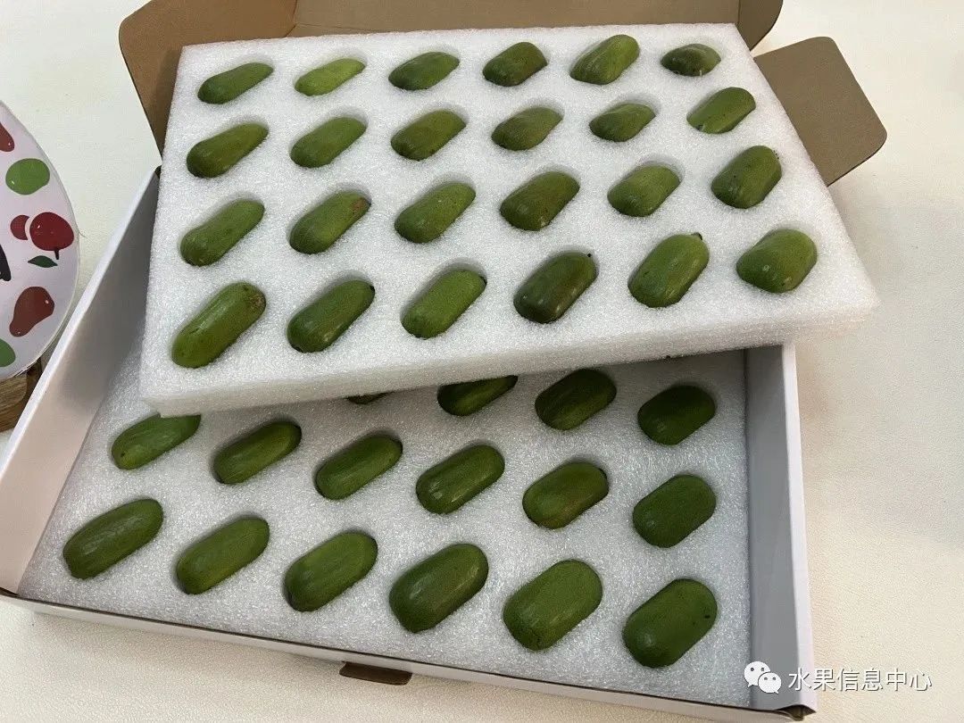 盘点那些迷你的东西,盘点不同样子的水果