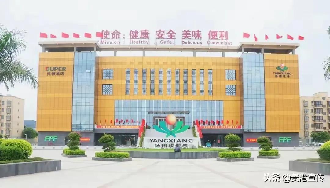 谁将成为贵港市新一代的代表性企业？贵钢、贵糖、杨翔饲料