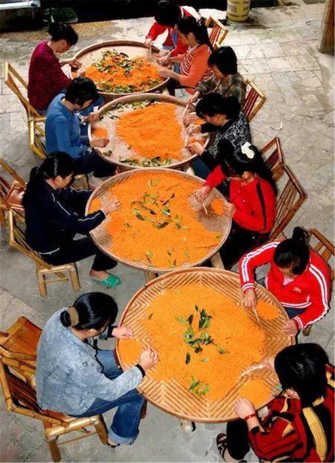 桂花九龙桂特征,桂花哪个品种做桂花茶