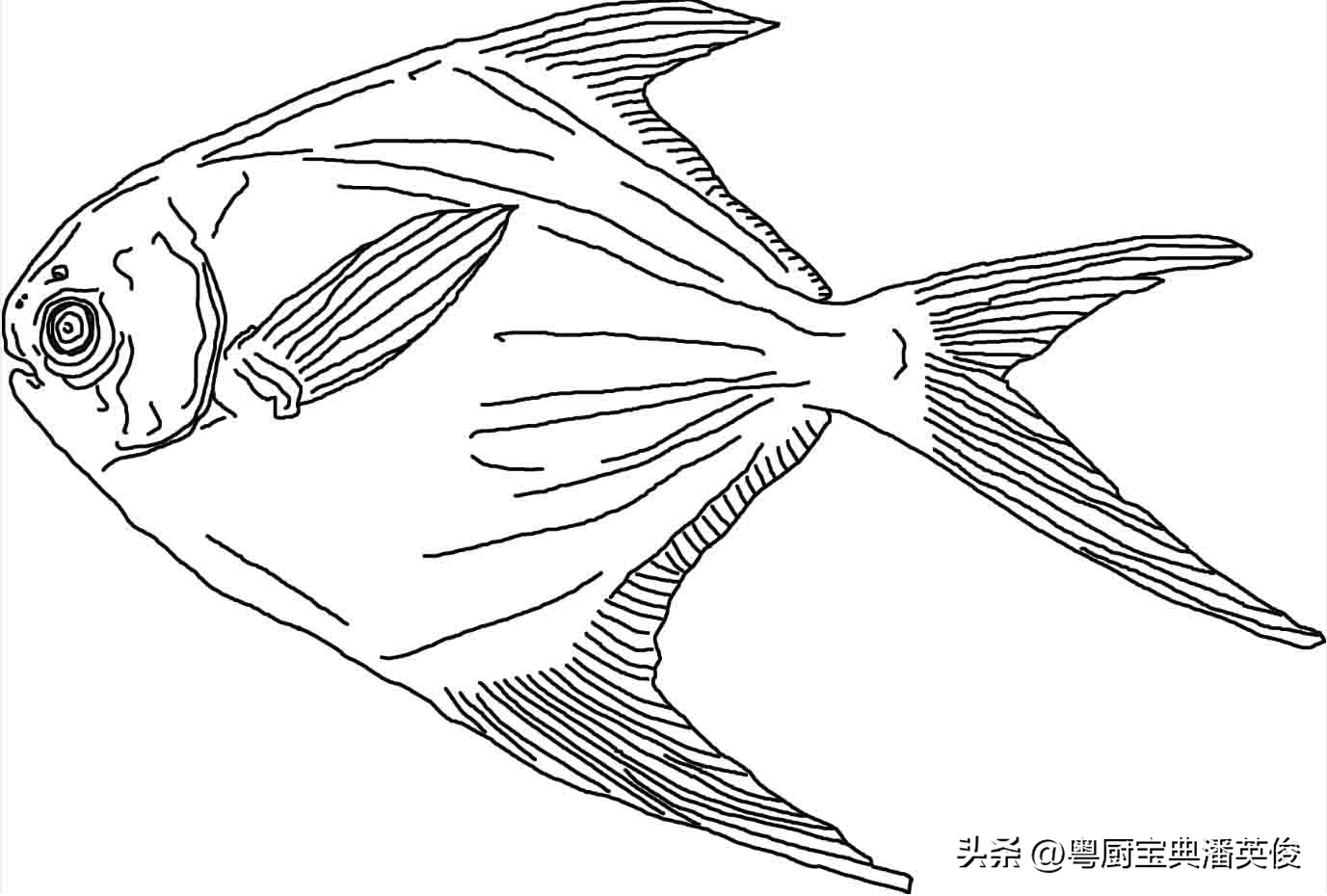 食材知识学习,食材知识视频教程