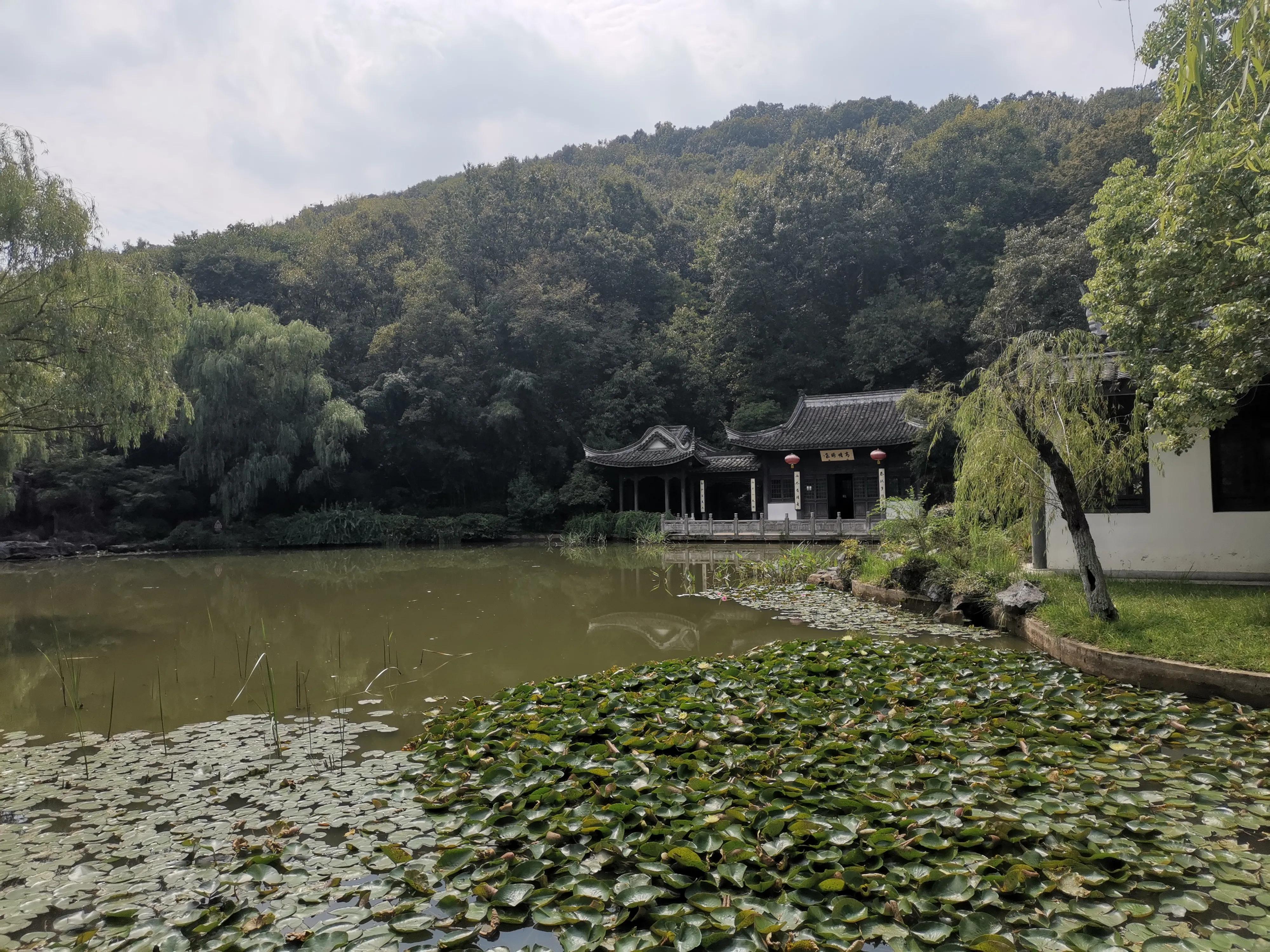 南京出发到镇江一日游跟团多少钱,南京去镇江旅行攻略路线