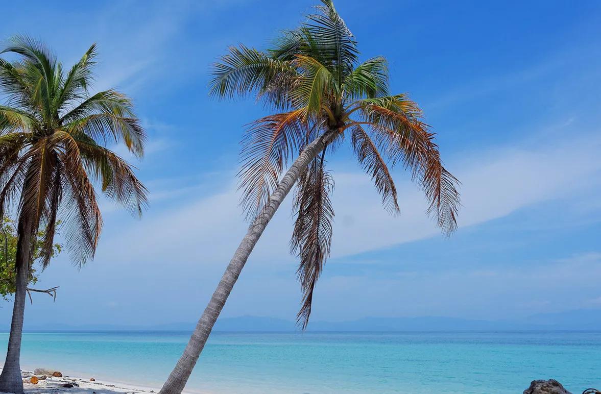 人为什么要挣钱听过最现实的答案,人为什么要努力赚钱最精辟的回答