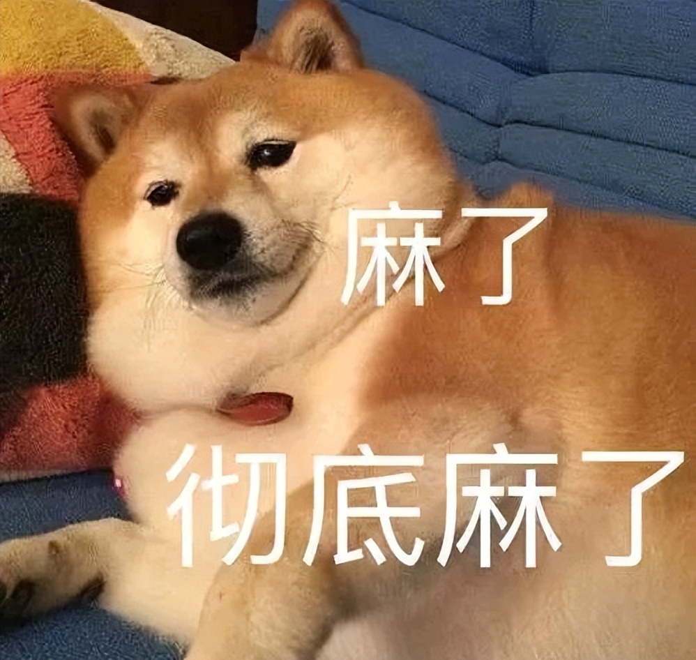 蒸烤一体机低价位哪款好,大牌蒸烤一体机怎么选