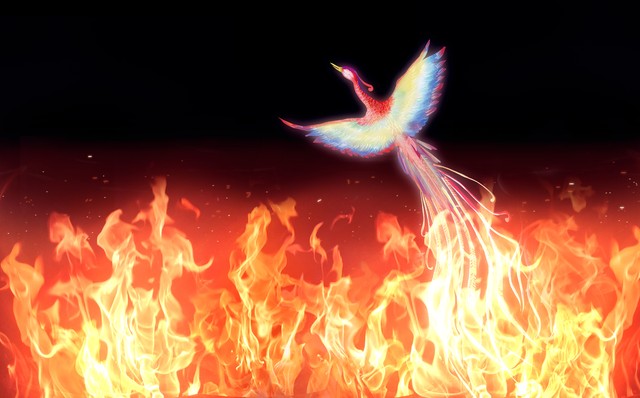 凤凰涅槃读音,凤凰涅盘浴火重生