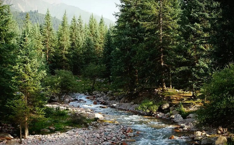 青海必游十大景点排名,青海必去十大景点排名