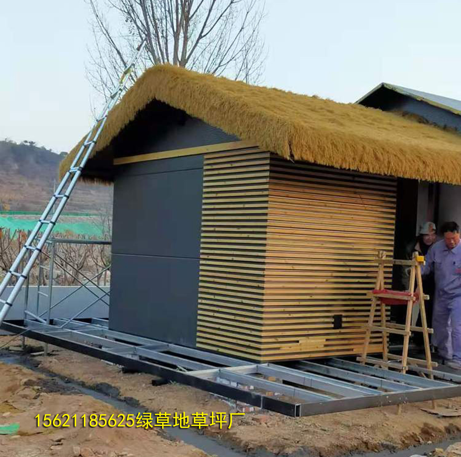 假茅草贵州批发商,假茅草批发厂家