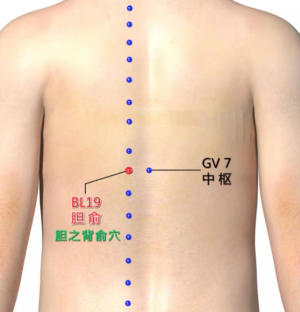 清肝利胆黄疸,胆俞穴疏肝利胆治口干口苦的穴位