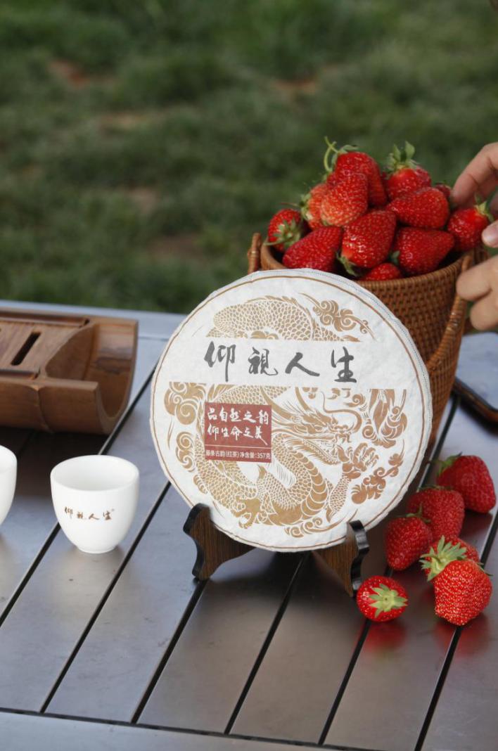 浮生茶语全部视频,浮生茶语的下一句