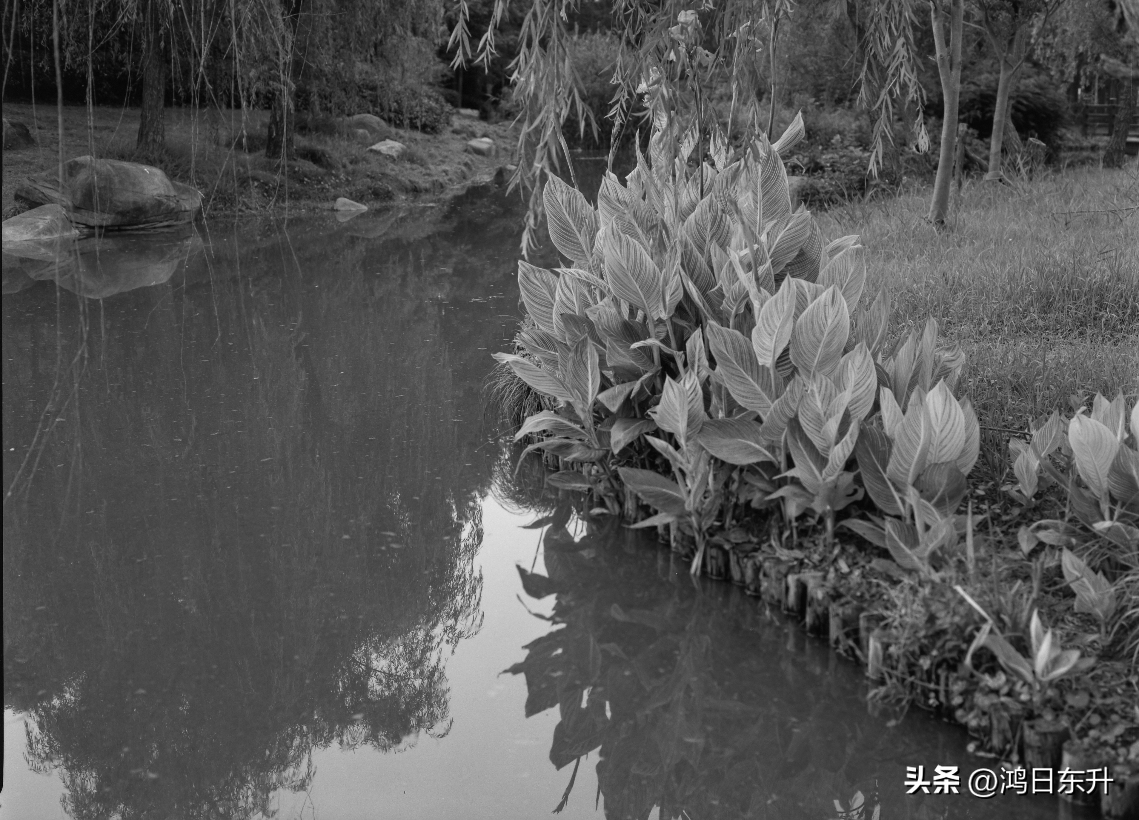 宾得645Nii老胶片相机值得拥有