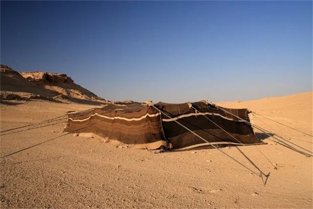 卡塔尔世界杯球场都有哪些比赛,卡塔尔世界杯看阿根廷比赛多少钱