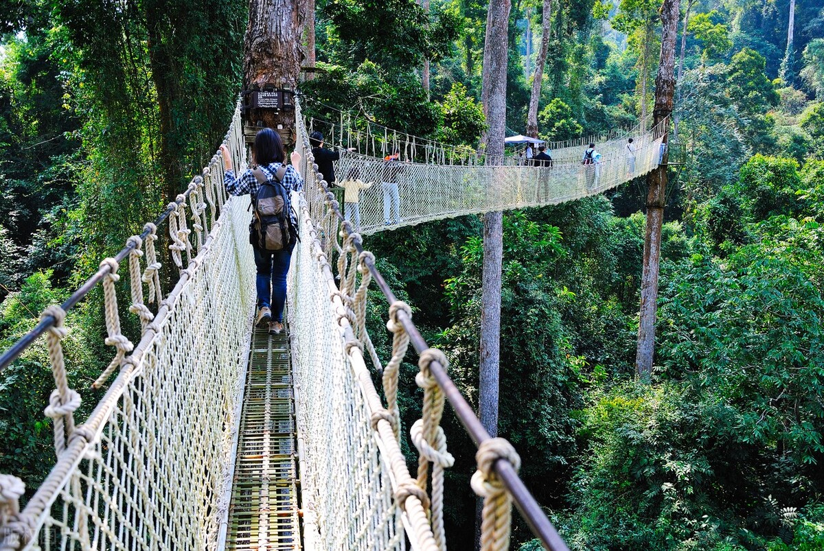 云南除了西双版纳哪里还适合过冬,西双版纳景洪避寒的地方