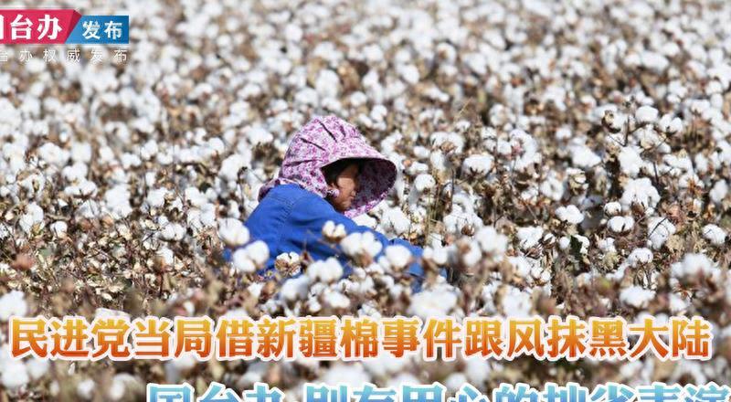 女汉奸袁莉还能回国吗,现代女汉奸袁莉