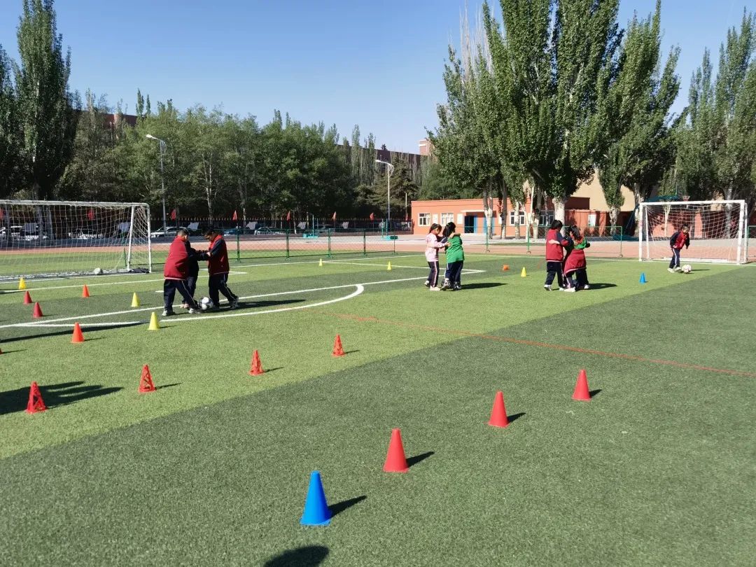 骨干教师示范引领个人工作总结,省市区优秀教师示范引领