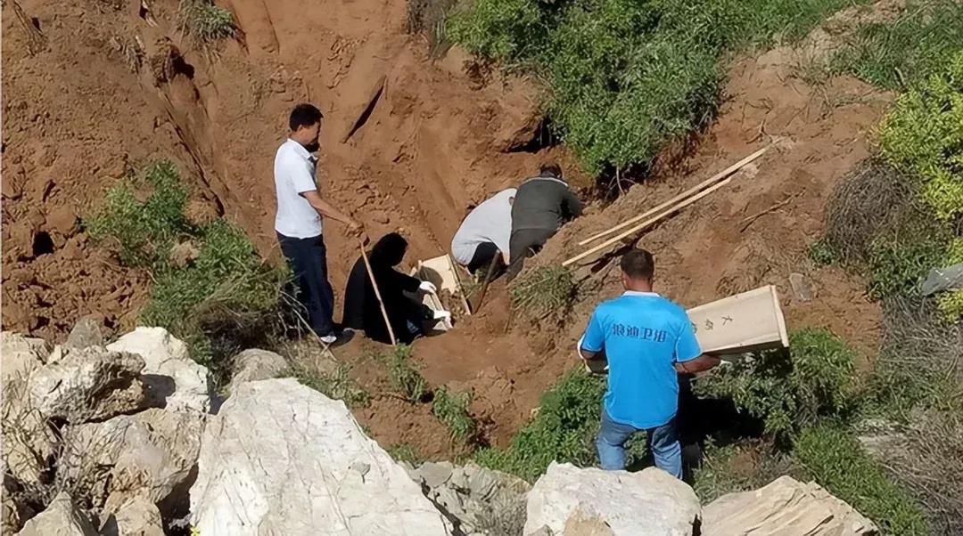 坟前长竹意味着什么预兆,为什么坟前长竹需迁坟