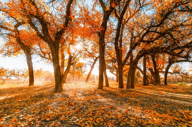 中国十大5a旅游景点排名前十,中国十大5a旅游景点排名