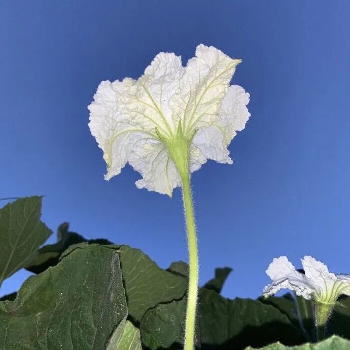 高级朋友圈背景图男,高级朋友圈背景图治愈