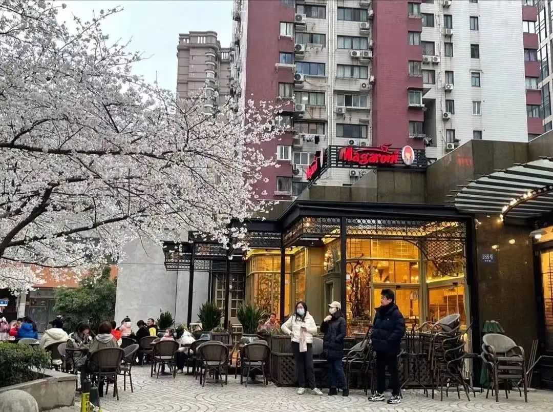 赏花有情调的餐厅推荐,虹口美食打卡