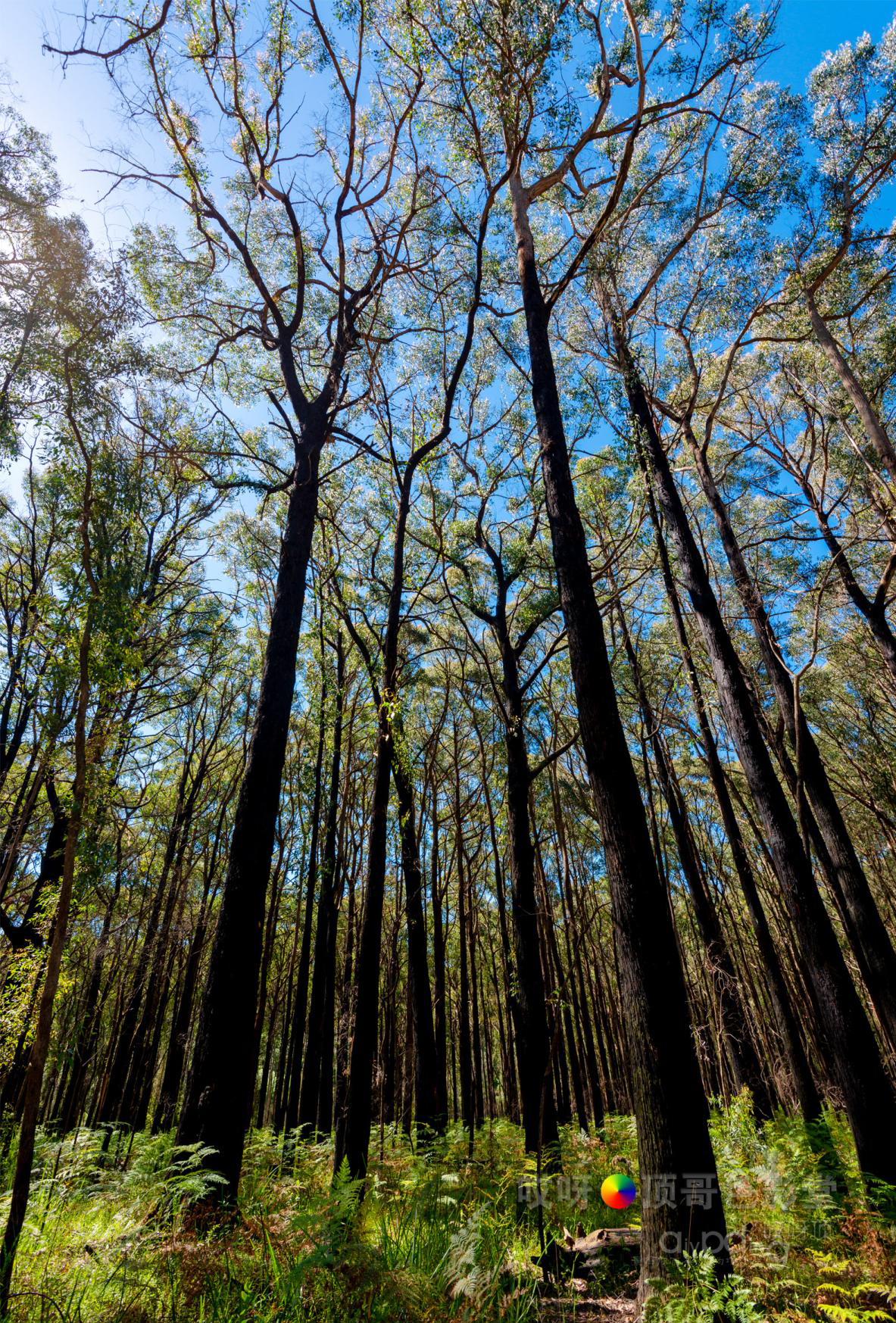 旅行家的眼神，看到不一样的人文澳洲（四之一）