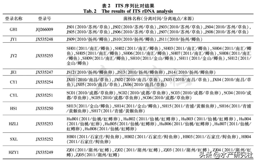 并不是所有的水霉菌都是有害的，您知道有害的有哪几种吗？