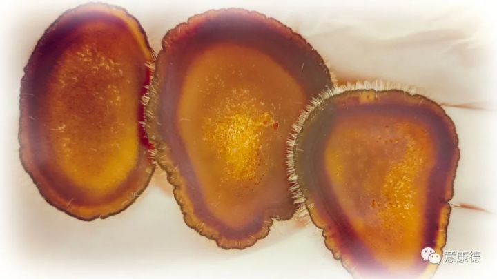 鹿茸的食用方法介绍大全,鹿茸的食用方法和用量是多少呢