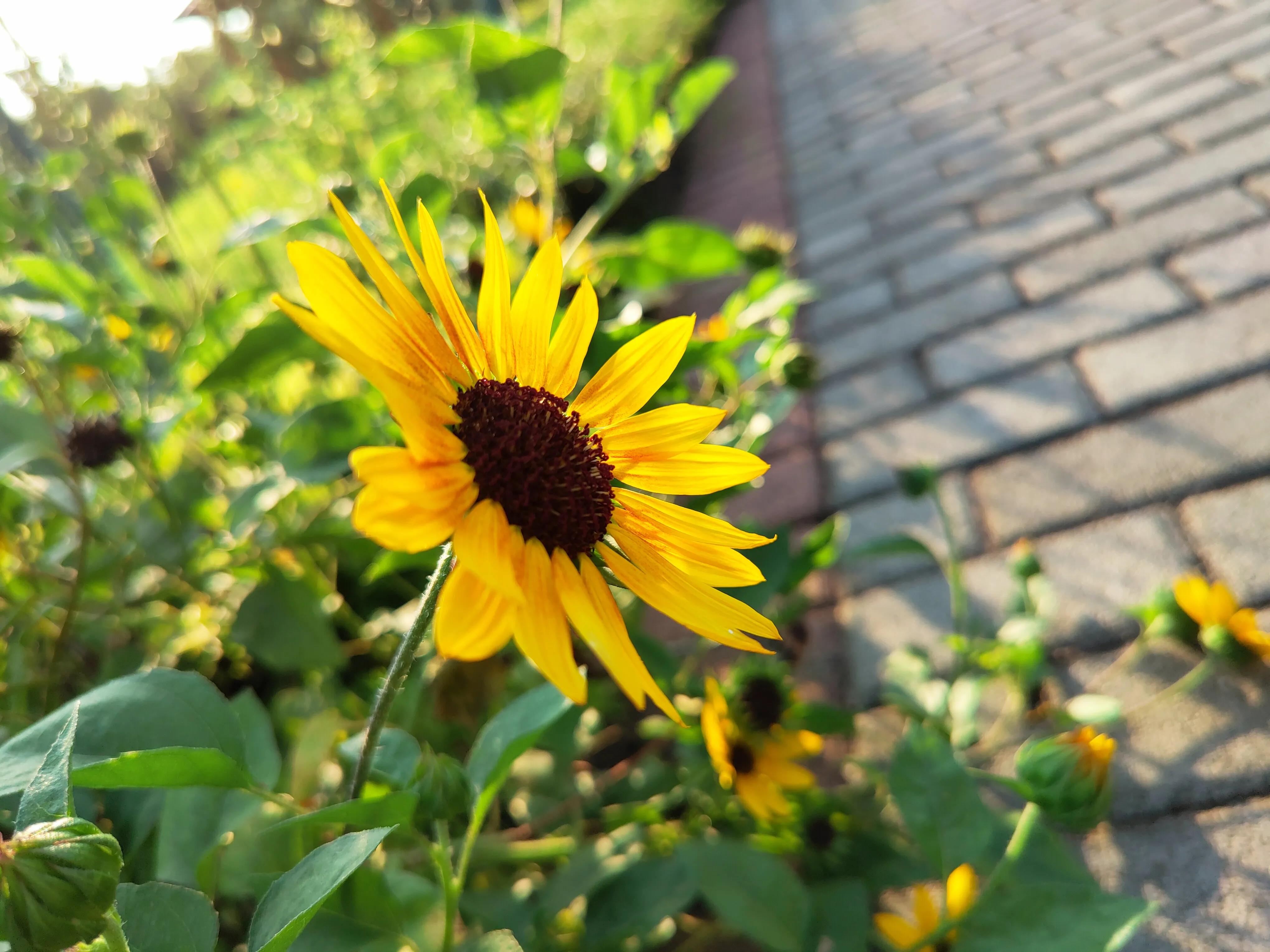 浅论财务风险管理,小白如何入门股票账户管理