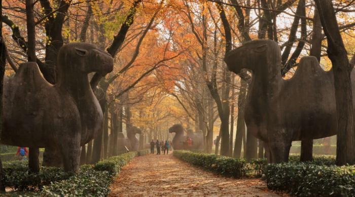 南京夫子庙都有哪些景点好玩的,夫子庙周边免费景点有哪些景区