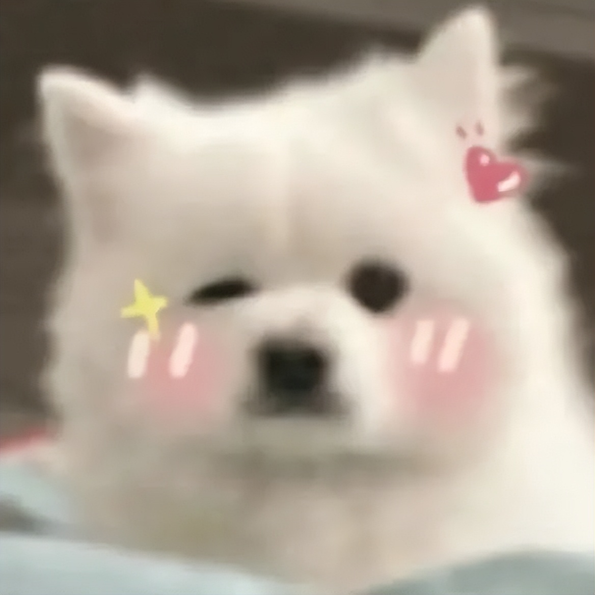 一整季笑麻了，东北喜剧天团主打就是一个真诚