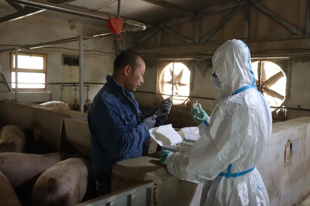 聚焦三抓三促凝神聚力促发展,凝神聚力谋发展务实笃行开新局