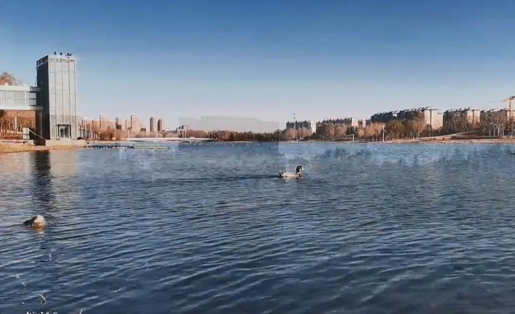 郑州亲子游周末游玩攻略,郑州适合亲子游玩的地方