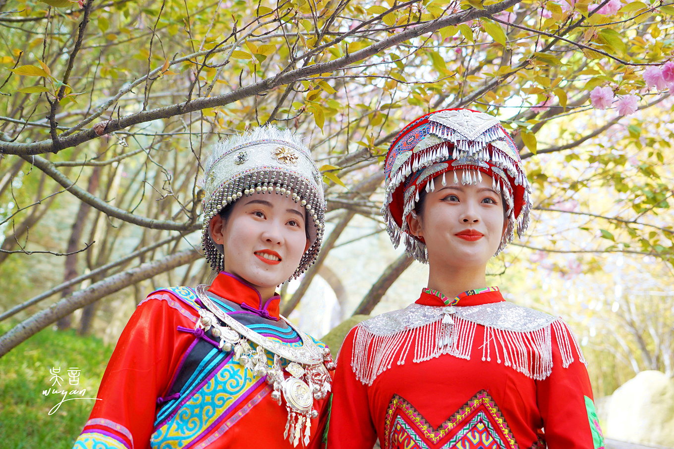 武汉看樱花半日游,武汉看樱花一日游