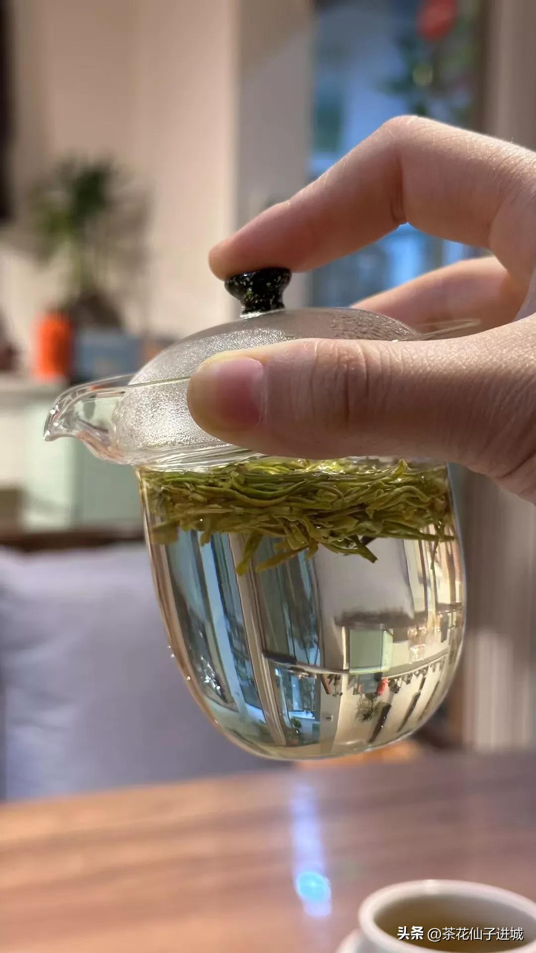 茶叶五大香型是什么茶种,白茶九大香型介绍