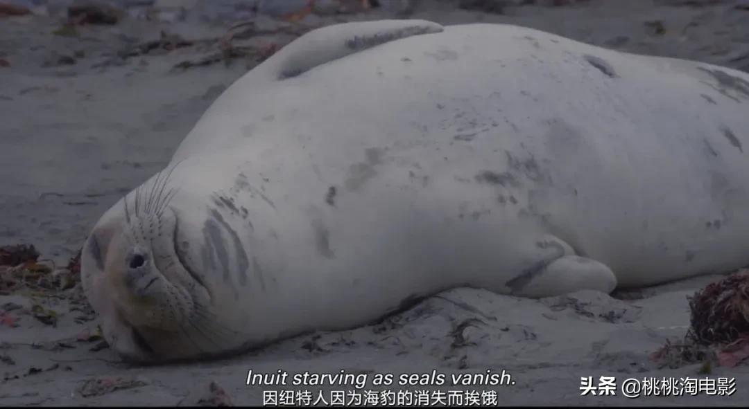 这部电影充满争议,却也真的很好看啊