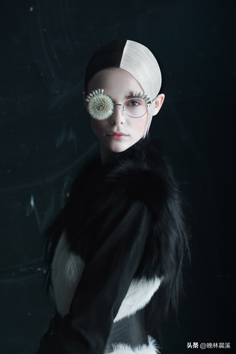 蒲公英与dandelion的区别,蒲公英摄影包选22升和25升对比