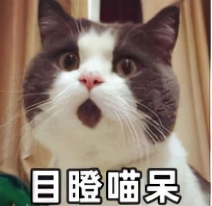 真人实测17款身体乳,沐浴乳测评真实推荐