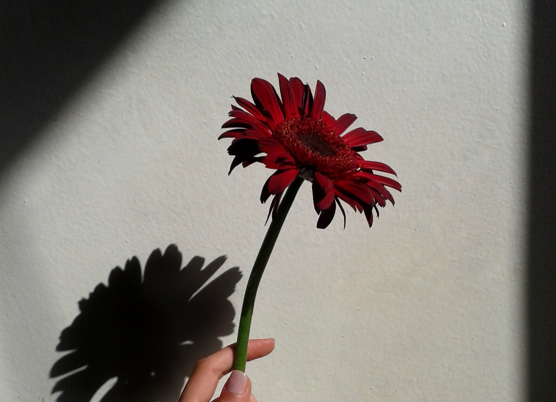 征服一个人一定要靠眼神,征服一个男人最好的方式