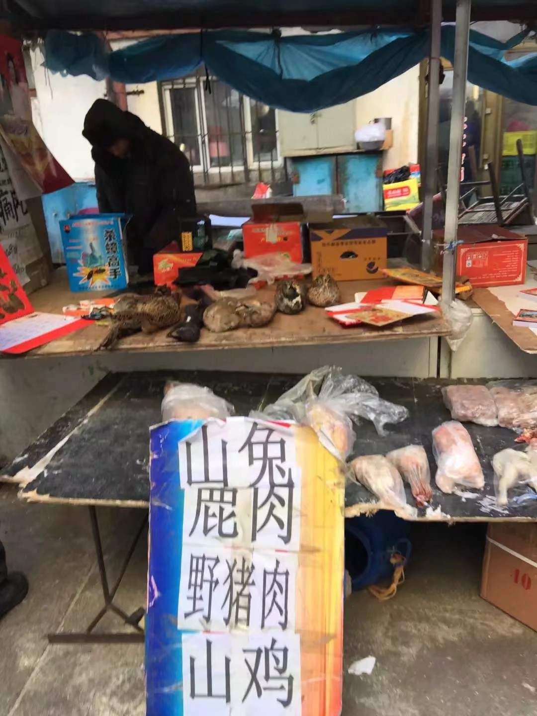 林区往事最新视频,2012年伊春林区往事图片